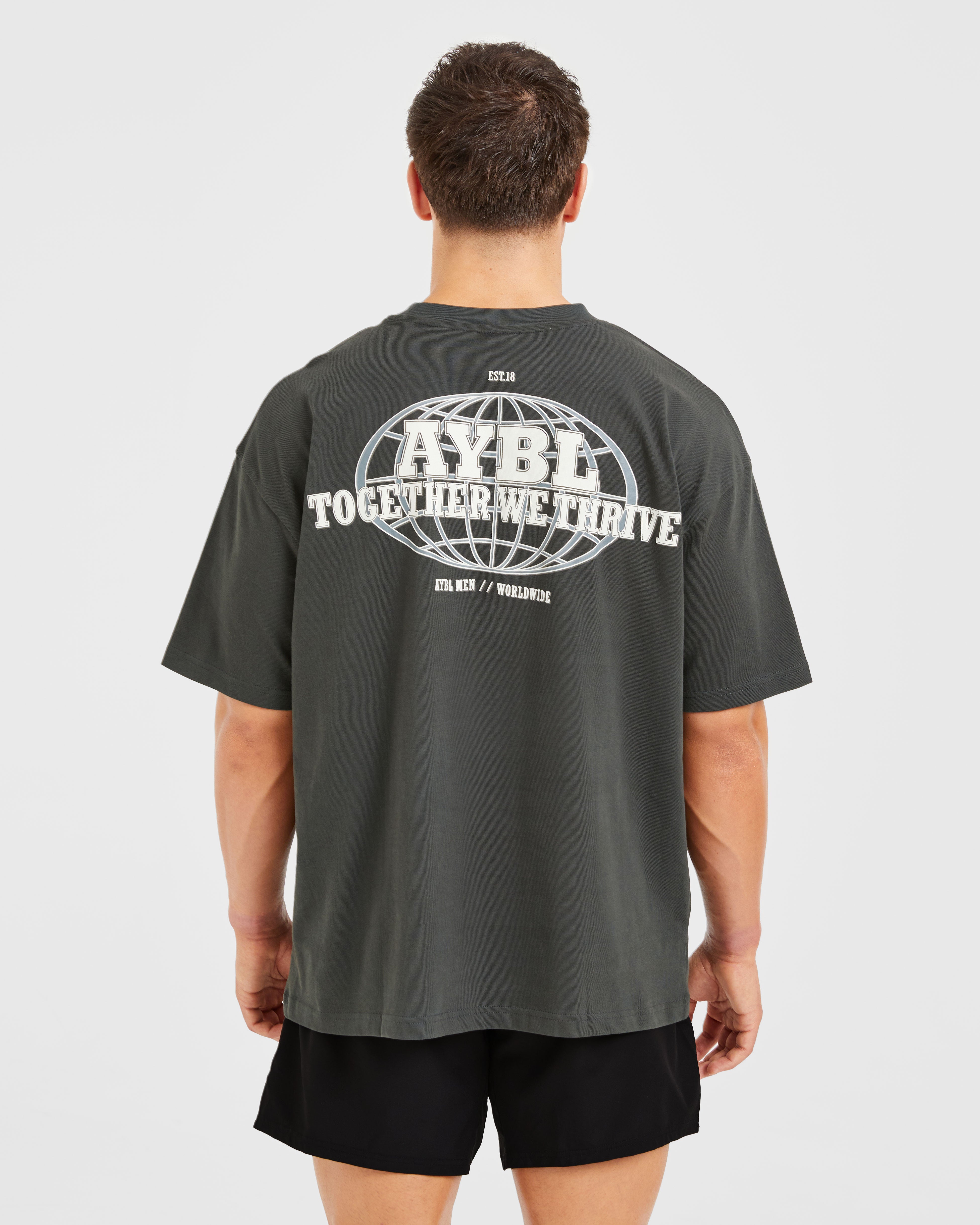 Global Oversized T Shirt - Sea Moss