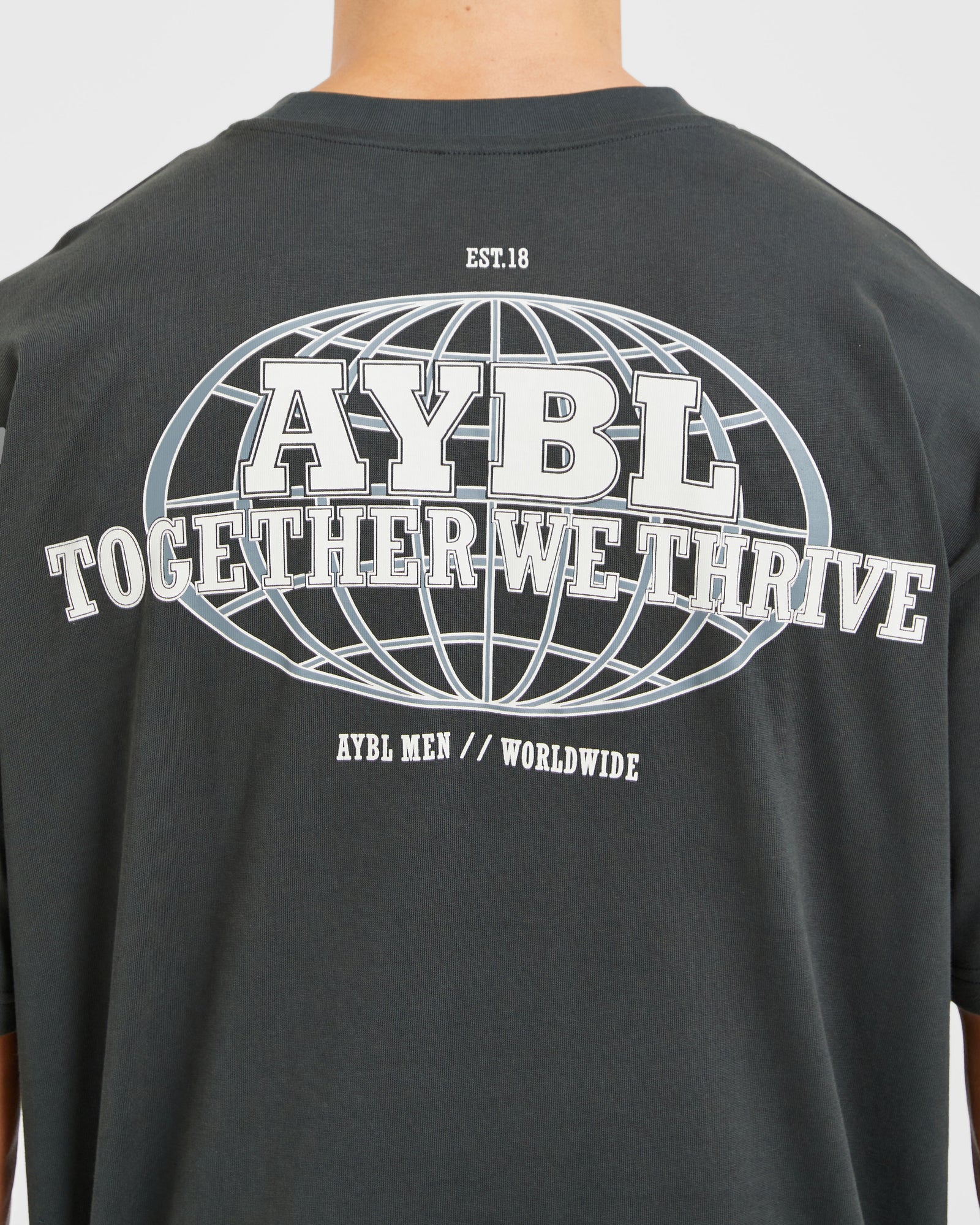 Global Oversized T Shirt - Sea Moss