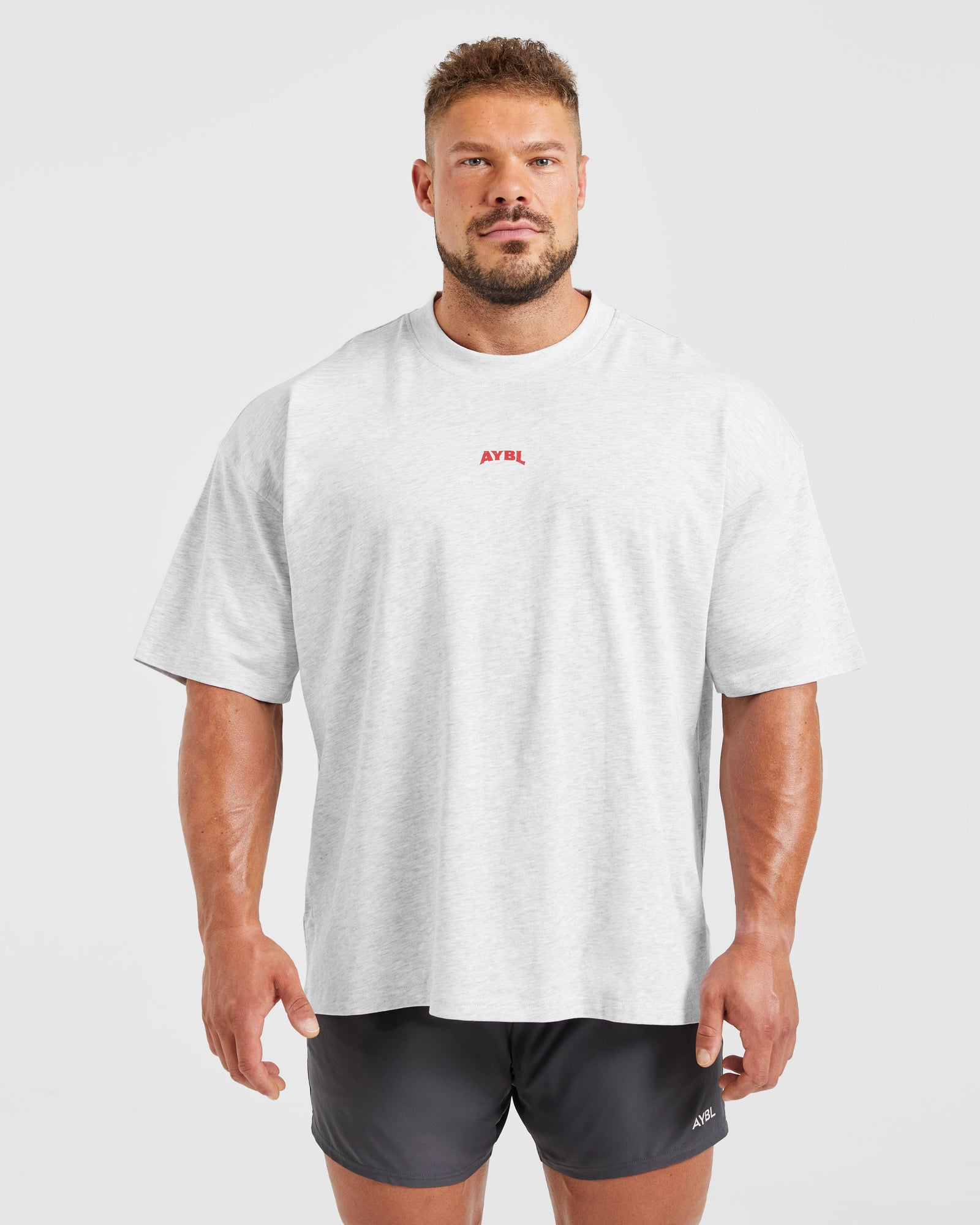 Wesley Vissers X Beyond Limits Oversized T Shirt - Grey Marl