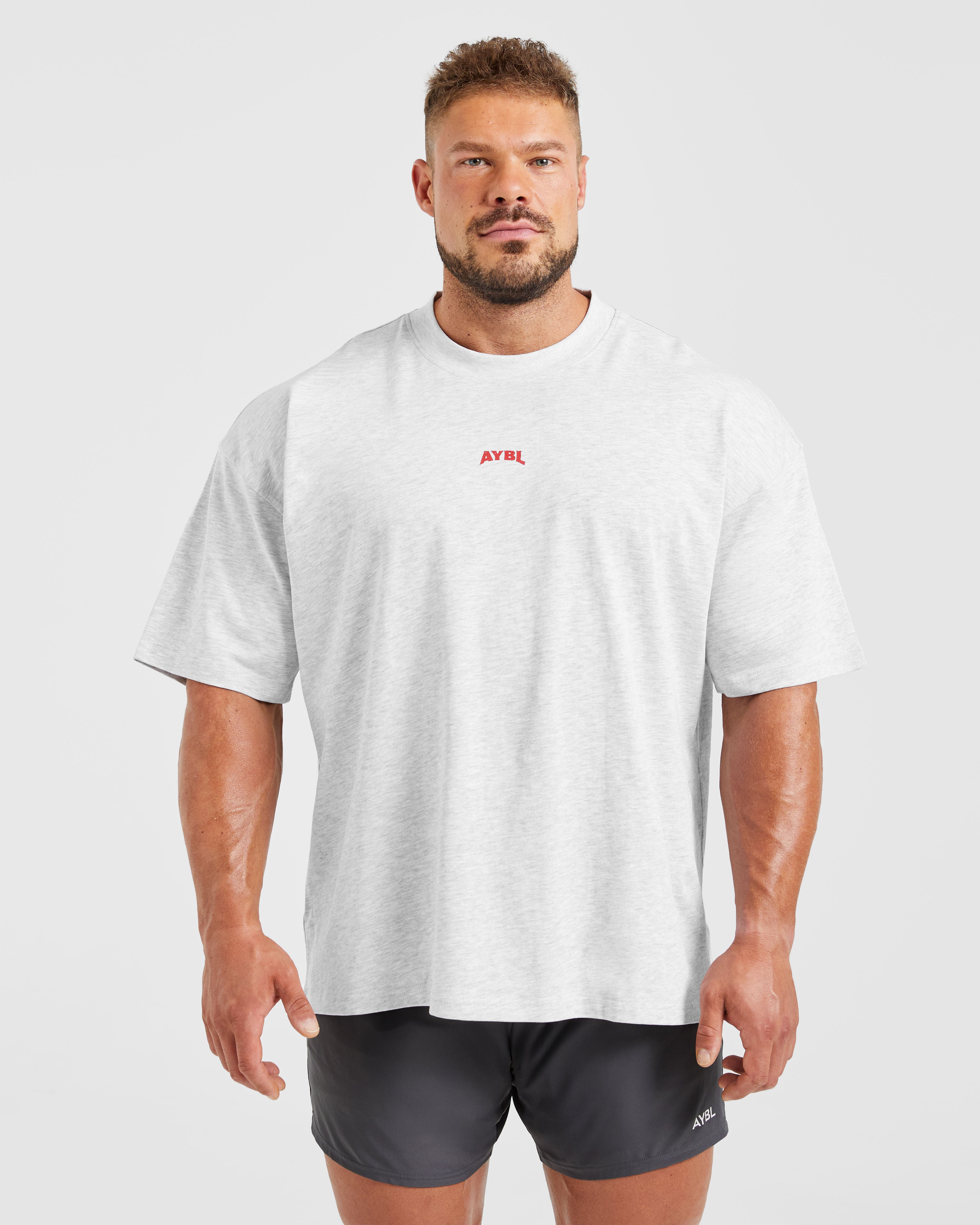 Wesley Vissers X Beyond Limits Oversized T Shirt - Grey Marl